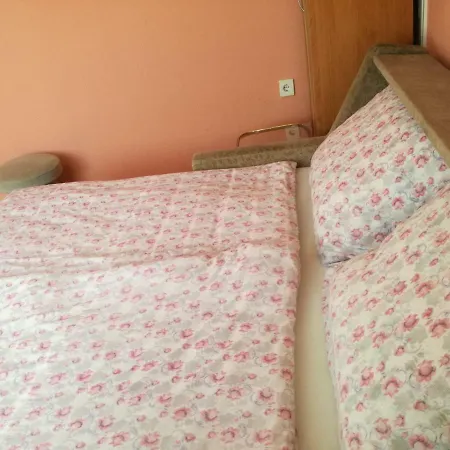 Gyongyi Apartman 게스트하우스 *